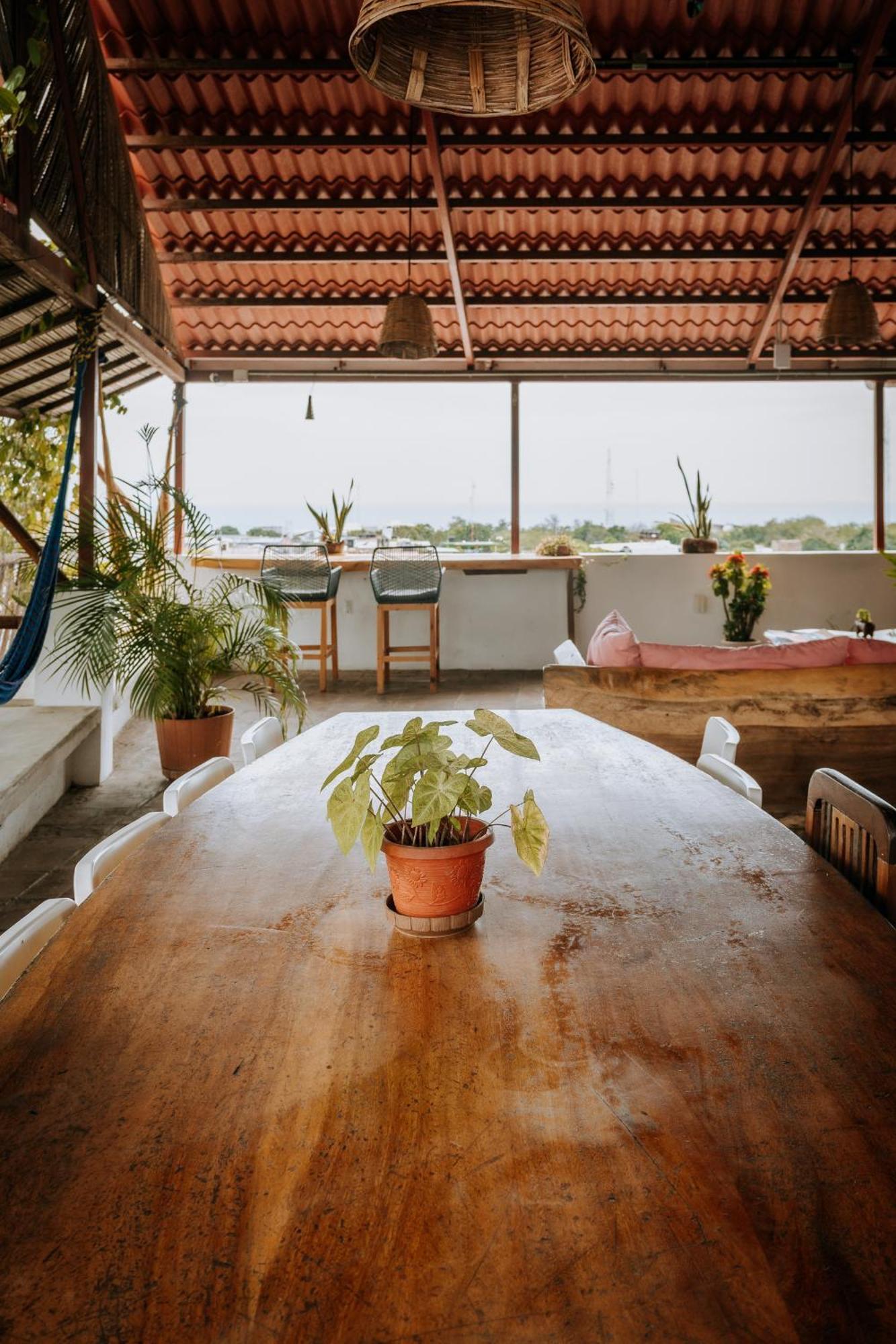 פוארטו אסקונדידו Terraza Puerto Hostel מראה חיצוני תמונה