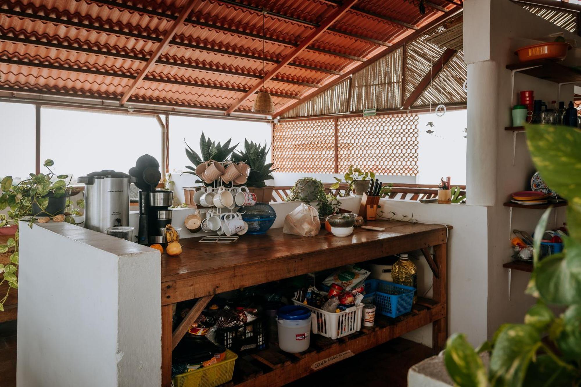 פוארטו אסקונדידו Terraza Puerto Hostel מראה חיצוני תמונה