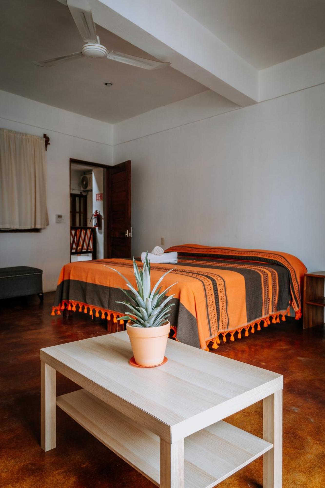 פוארטו אסקונדידו Terraza Puerto Hostel מראה חיצוני תמונה