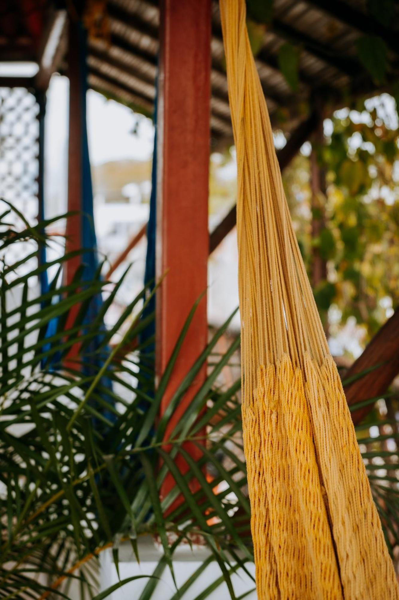פוארטו אסקונדידו Terraza Puerto Hostel מראה חיצוני תמונה
